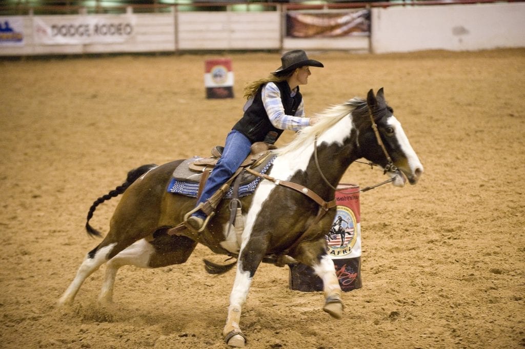 rodeo-646573_1920